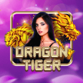Dragon Tiger Gamezone Slot
